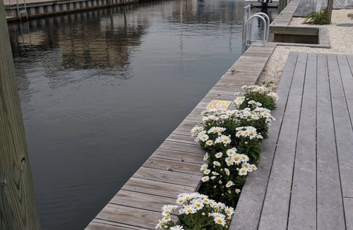 Harvey Cedars House | Charming Family Cape- Beach, Bay and Shops A Few Steps Away!