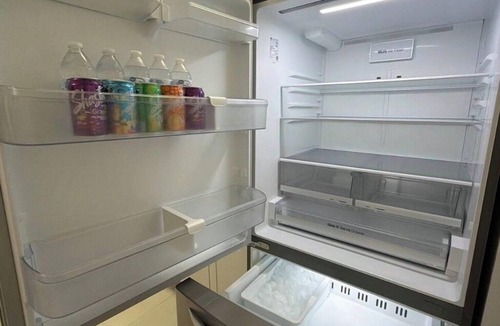 Terrace Park Apartment | Chic Private Suite for 6 near USF & Busch Garden