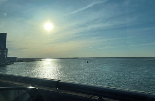 Southend Condo | Coastal Charm Meets Cozy Comfort - 1BR Beachside Beauty!