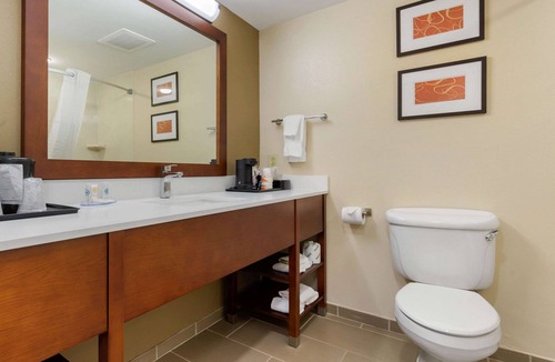 Cordele Hotel | Comfort Inn & Suites Cordele