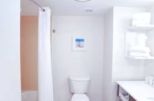 Wesley Chapel Hotel | Comfort King w/Sofa Bed | Classic Stay w/Fitness Center & Breakfast Included!