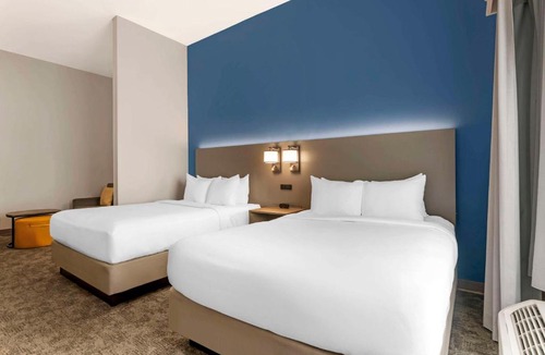 Bee Ridge Hotel | Comfort Suites Sarasota-Siesta Key