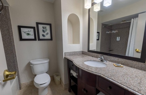 Pinellas Park Hotel | Country Inn & Suites by Radisson, St. Petersburg - Clearwater, FL