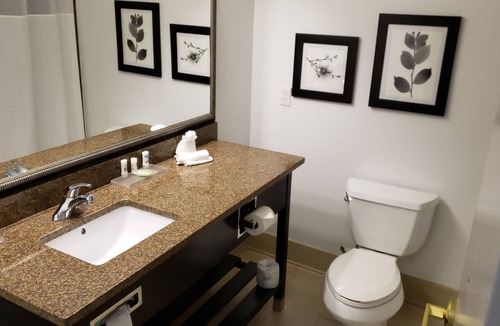Braden River Hotel | Country Inn & Suites by Radisson, Bradenton-Lakewood Ranch, FL