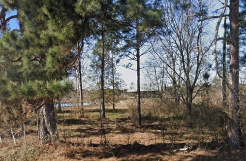 Norman Park Cabin | Cozy 1-bedroom cabin with 2 ponds