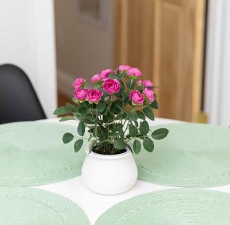 Stamford Apartment | Cozy 3BR Stay in Stamford & Near Old Greenwich