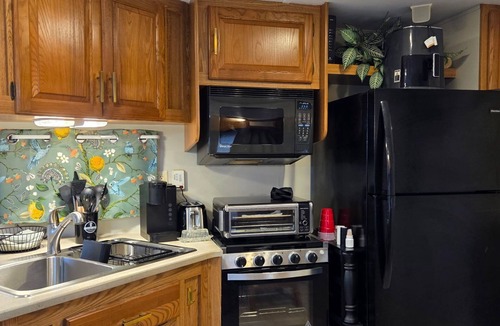 Punta Gorda House | Cozy 55+ Punta Gorda Home - Pet Friendly, Fully Furnished! Pool/Lake/Club