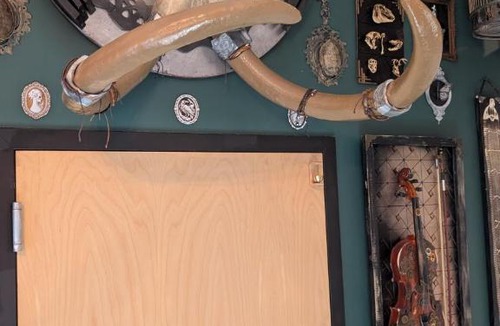 Tampa Heights Apartment | Cozy AF Gothic Rose Gallery