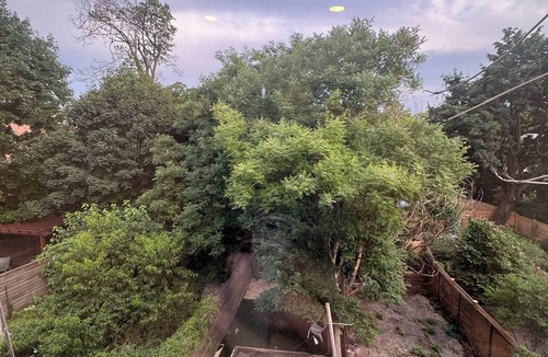 Crown Heights House | Cozy BK room, king-size bed, 7m to subway, 20m to Manhattan