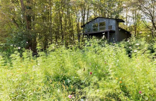 Mount Marion House | Cozy Cottage between Kingston & Woodstock: Outdoor Deck, Firepit, Skylights