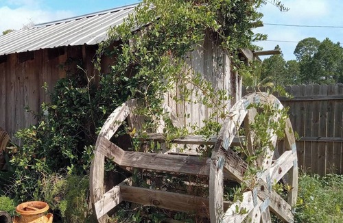 Eastpoint Cabin | Cozy & Fun Fisherman's Cabin close to Beaches and Forest. Pet Friendly!