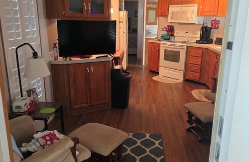 Salt Springs House | Cozy park model with WiFi and AC in fabulous Salt Springs.