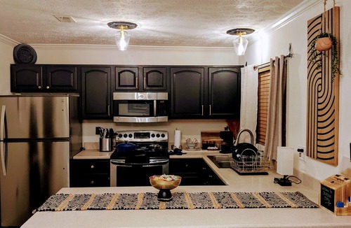Bearss Plaza House | Cozy Vintage Boutique-Bush Gardens/USF/Airport-TPA