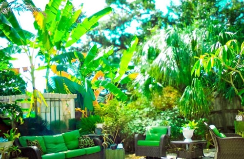 South Venice House | Daze Inn Between: lagoon pool mins to beaches