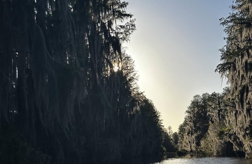 Folkston Cabin | Deluxe Cabin - The Gator Hole - Our Deluxe Cabins offer comfort with a true Okefenokee feel. Climate controlled, private, and set in a quiet part of the campground.