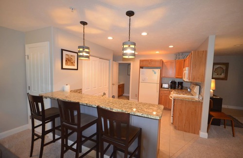 Traverse City House | Downtown Traverse City condo with balcony. Walk to everything. A/C.