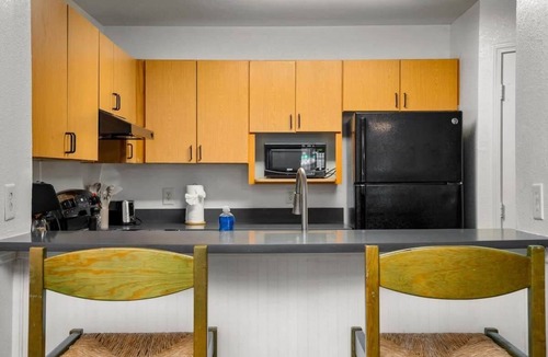 Bearss Plaza Apartment | Elegant retreat w/pool & gym near USF