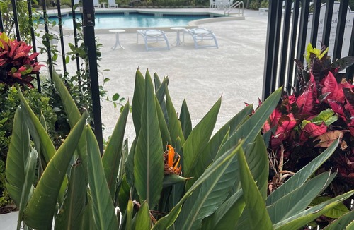 Flamingo Parks Condo | Eloquently decorated 1 bedroom, 1 1/2 bath condo. Beautiful water views/balcony