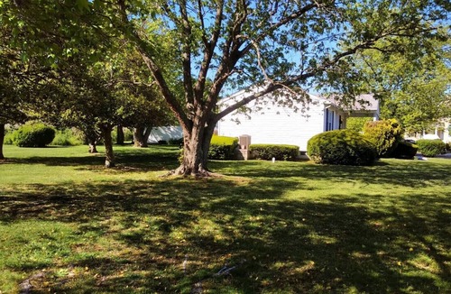 West Cape May House | Family-Friendly. Easy Bike ride or Stroll to beach. Great Monthly Fall Rates!