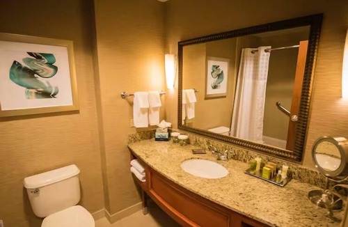 St. Petersburg Hotel | Family Retreat with Infinity Pool & Waterfront Dining