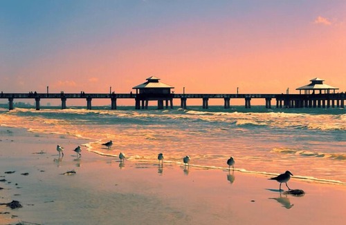 Jacarandas House | Florida tiny Vacation Home! Pet friendly!