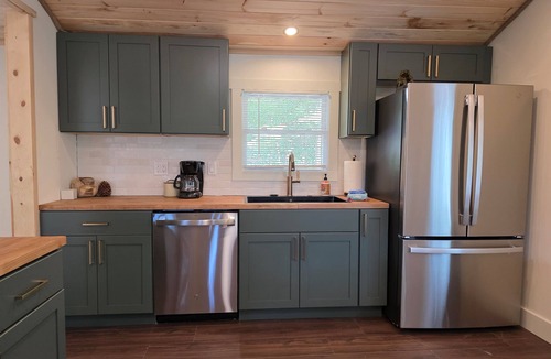 Baldwin Cabin | Foreman Lakefront Cabin Hot Tub Wi-Fi Dog Friendly