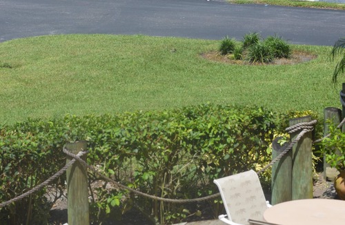 Burnt Store Marina Condo | GOLF BOATING BIKING