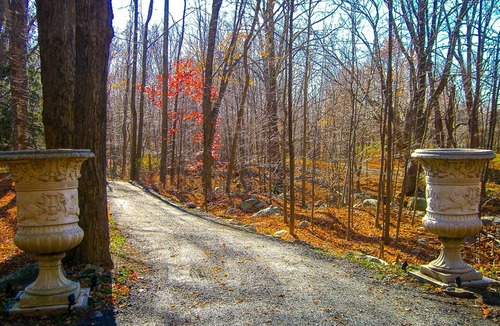 Wallkill Cottage | HIKE, SWIM, STARGAZE IN WOODS SIDING MINNEWASKA STATE PARK SHAWANGUNK MOUNTAINS