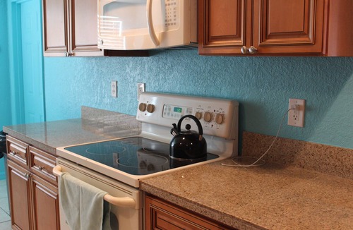 Forest Hills House | Holiday 4 bedroom house close to Tarpon Springs