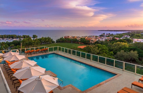 Coconut Grove Apartment | Insane Ocean View Suite - Coconut Grove Oasis