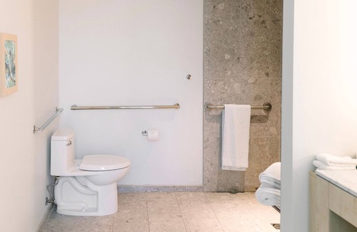 Gainesville Hotel | King ADA Guestroom w/Roll-in Shower | Near UF