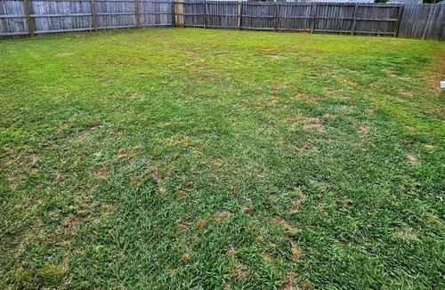 Houston County House | King Suite |BBQ Grill |Near RAFB |4 TVS| Workspace