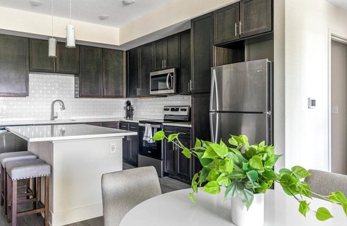 Palmetto Apartment | Landing | Amazing 2BD, Yoga Studio, Pool
