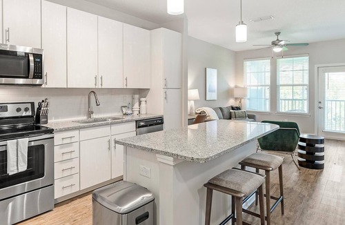 Land O' Lakes Apartment | Landing | Incredible 1BD, Pool, Gym