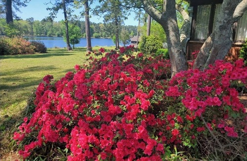 Springfield House | Longleaf- A Place to Get Together or A Place to Get Away!