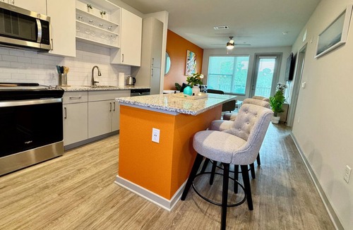 Southside Apartment | Lux King Bed Pool Gym Near Stadium TownCenter Mayo