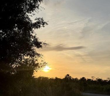 Braden River Other | Luxurious Deluxe Safari Tent with King Bed and Outdoor Fire Pit in Bradenton, Florida