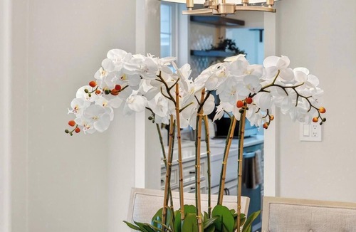 Mount Dora House | Luxury Home on Dora Lake – 2 Min to Downtown Mount Dora