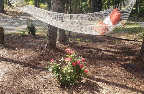 Notasulga Cabin | MadHatter Tiny Home- 9 Miles to AUBURN AL & Jordan Hare Stadium