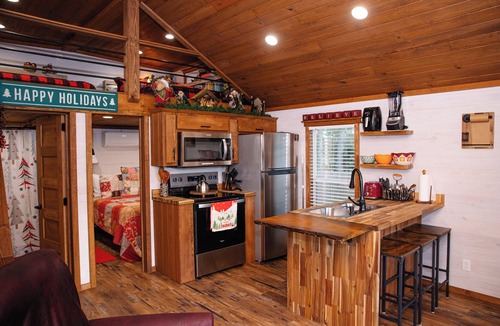 Cairo Cabin | Marley: Cozy tiny cabin on Christmas Tree Farm in South Georgia