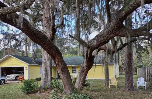 Spring Hill House | Must love trees
