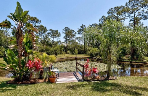 Interchange Square House | Nature Lover's Oasis