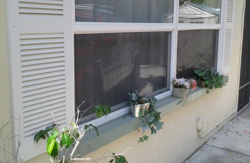St. Petersburg Cottage | Nice, clean 1br cottage near Treasure Island