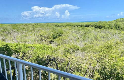 Tavernier Condo | Ocean Pointe - Beach, Pool, Tennis, Marina, Gigabit Internet and Next Gen Xbox!
