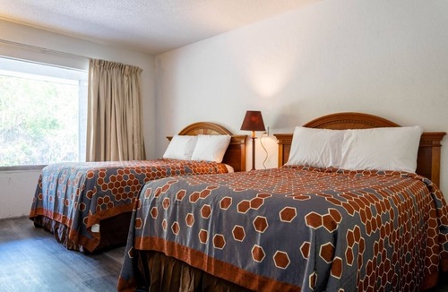 Ocala Hotel | Pet-Friendly King Bed Room w/Private Bath Near Nature Parks