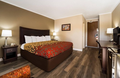Perry Hotel | Pet Friendly Room | Minutes to Go Fish Education Center | Free Self Parking