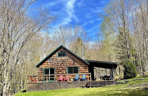 Fleischmanns Cabin | Private Cabin Retreat on 10 Acres! Firepit, custom kitchen, endless green beauty