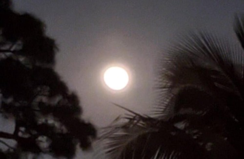 Clewiston House | RANCHO LOS PINOS THE GREATEST PLACE AWAY FROM HOME