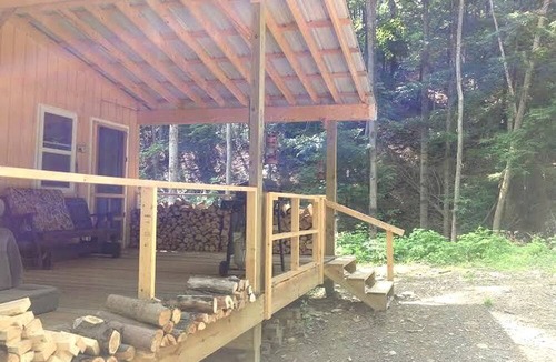 Dalton Cabin | Rustic Creekside Cabin on 100-Acre Forest near Letchworth Park, New York