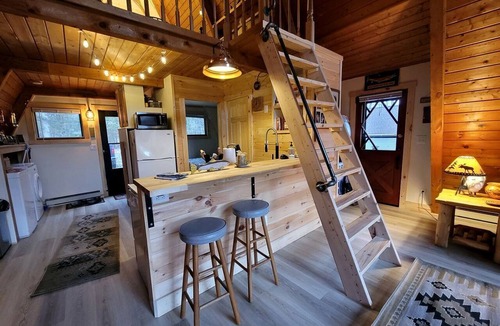 Luther Cabin | Secluded A-Frame Cabin with Private Riverfront on Little Manistee River near Tustin, Michigan